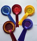 Rosettes 1st - 3rd Place